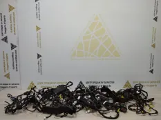 Проводка салона Exeed VX 2021-2024 806008480AA M36T