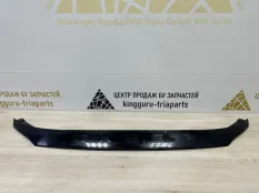 Накладка бампера Exeed VX 2021-2024 602002291AA M36T, передняя