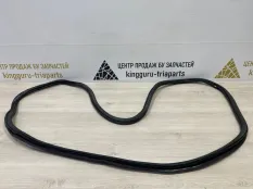 Уплотнитель дверного проема Volkswagen Tiguan 2016-2020 5NA867911C9B9 2 AD1 ДО РЕСТАЙЛИНГ, передний левый