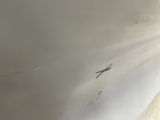 Крышка багажника Exeed TXL 2020-2023 509000737AADYJ M32T