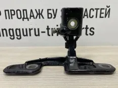 Петля двери багажника BMW X7 2019-2022 41007486552 G07, правая