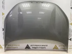Капот Omoda C5 2022-2024 553000311AADYJ T19C