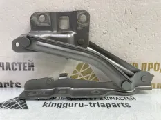 Петля капота Omoda C5 2022-2024 553000320AA T19C, левая