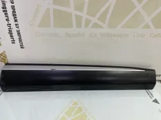 Молдинг двери Exeed RX 2023-2024 609001539AA T22, правый