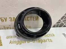Накладка бампера Exeed RX 2023-2024 602002624AA T22, правая