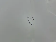 Капот Changan CS35 Plus 2021-2023 S111F2701010100