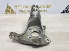 Кулак Exeed RX 2023-2024 204001824AA T22, передний левый