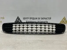 Решетка бампера Mini Countryman 2010-2016 51119801918 R60, передняя