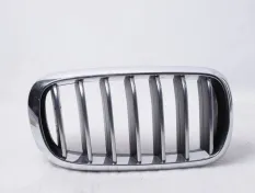 Решетка радиатора BMW X5 2013-2018 7316076 F15, передняя правая
