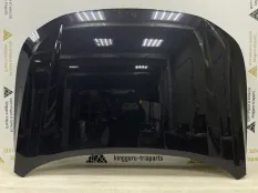 Капот Exeed LX 2022-2024 509000117AADYJ T1C РЕСТАЙЛИНГ