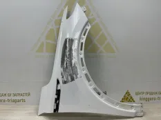 Крыло Exeed RX 2023-2024 553000424AADYJ T22, переднее правое