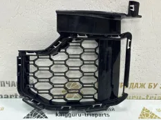 Решетка в бампер BMW X5 2019-2023 51118069209 G05 M-PACK, передняя левая