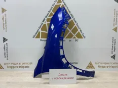 Крыло Exeed LX 2022-2024 509000116AADYJ T1C РЕСТАЙЛИНГ, переднее правое