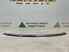 Молдинг решетки радиатора Omoda C5 2022-2024 602002032AA T19C