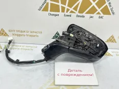 Корпус зеркала 15 пин Exeed LX 2021-2024 601000620AA T1C, левый