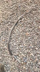 Трубка кондиционера Volvo 960