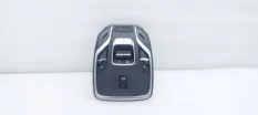 Плафон салона Geely Tugella