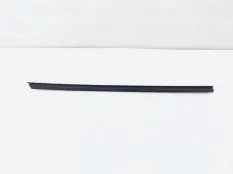 Уплотнитель стекла двери BMW X6M