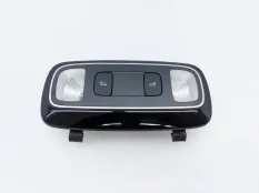 Плафон салона Hyundai Palisade