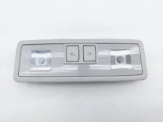 Плафон салона Volkswagen Tiguan