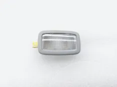 Плафон салона Kia K5
