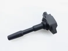 Катушка зажигания Nissan Terrano