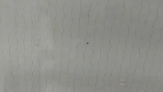 Стекло лобовое Haval Jolion