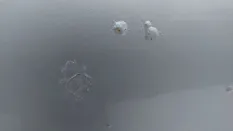 Дверь Volkswagen Transporter