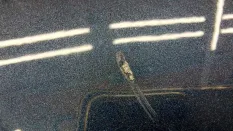 Капот Kia Sportage