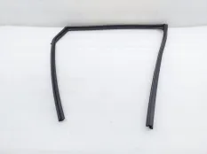 Уплотнитель стекла двери Nissan Qashqai