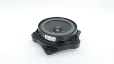 Динамик Geely Monjaro