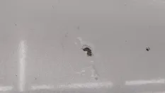 Капот Mitsubishi Pajero