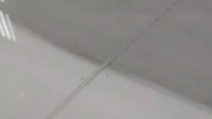 Стекло лобовое Citroen Berlingo