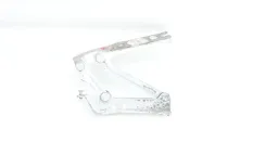 Петля капота Skoda Fabia