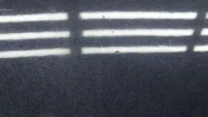 Капот Kia Optima