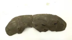 Подкрылок \ Локер Mazda CX-5