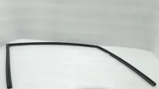 Уплотнитель стекла двери Nissan X-Trail