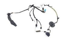 Проводка двери Ford Kuga