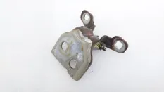 Петля двери Renault Duster