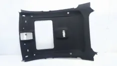 Потолок BMW X6