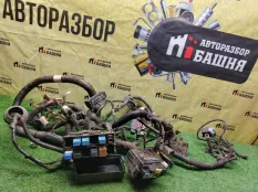 Проводка под капотом Nissan Navara D40M YD25DDTI