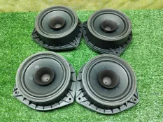 Динамик HAVAL Jolion CC7150BA01B GW4G15K 2024