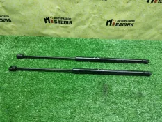 Амортизатор двери багажника HAVAL Jolion