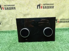 Панель управления климатом EXEED LX T1C