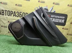Обшивка двери задняя правая EXEED LX T1C