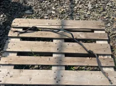 Стабилизатор Mitsubishi Carisma