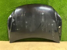 Капот Volkswagen Tiguan