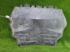 Защита двигателя Volkswagen Tiguan