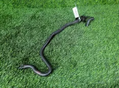 Патрубок воздушный Audi A6