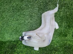 Бачок омывателя Peugeot 307